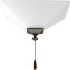 Progress Lighting AirPro Universal Two-Light Ceiling Fan Light view 4