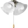 Progress Lighting AirPro 13.6" 4-Light Ceiling Fan Light Kit, Brushed Nickel view 1