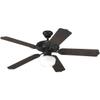 Progress Lighting 1-Light Ceiling Fan Light, AirPro Collection, Indoor & Outdoor, P2601-80WB, Forged Black view 3