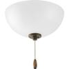 Progress Lighting Bravo 2-Light Ceiling Fan Light Kit, White Etched Glass view 2