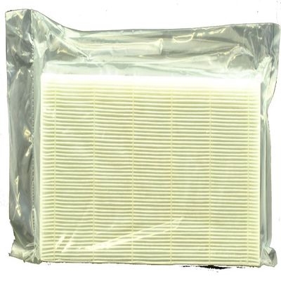 Heat Surge Heater Allergen Filter