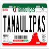 Tamaulipas Mexico Placas License Plate view 1
