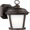 Generation Lighting 8650701-71 Medium One Light Outdoor Wall Lantern, Antique Bronze, 9 Total Watts, 12.25 Inch Height, 7.875 Inch Wide, StoneStrong Construction view 3