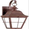 Generation Lighting 8463DEN3-44 One Light Outdoor Wall Lantern, Weathered Copper view 4