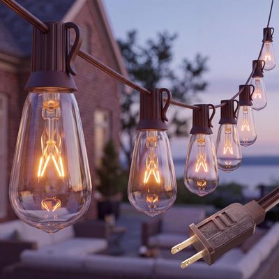 10Ft ST40 Outdoor String Lights with 11 Incandescent Bulbs, E17 Scoket Base, Waterproof Patio String Lights, Hanging Vintage Edison Lights Outdoor for Backyard Garden Porch Party Wedding Decor, Brown