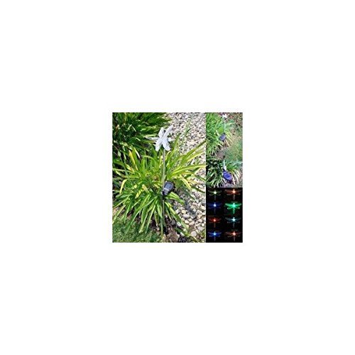 2 Pack Stainless Steel Dragonfly Color Changing Solar Light