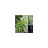2 Pack Stainless Steel Dragonfly Color Changing Solar Light view 1