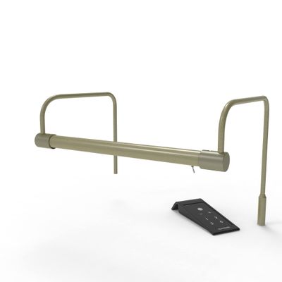 Cocoweb 12" Tru-Slim LED Picture Light in Antique Brass with Plug-in Adapter and Remote Control