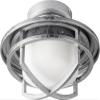 Quorum 1904-9 Restoration LED Fan Light Kit from Windmill Collection in Pewter, Nickel, Silver Finish, view 4