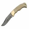 Plain Bolster Damascus Steel Blade | Bone Handle 3.75 inch Edc Pocket Folding Knife view 2