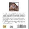 Arte en las Reducciones Jesutico-Guaranes (Spanish Edition) view 2