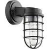 Quorum International Belfour Outdoor Wall Lantern - Noir - 701-69, Bronze/Dark view 1