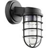 Quorum International Belfour Outdoor Wall Lantern - Noir - 701-69, Bronze/Dark view 2