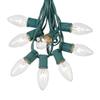 Novelty Lights C9 Clear Christmas String Light Set - 25 Foot, Indoor/Outdoor, Dimmable, Green Wire view 1