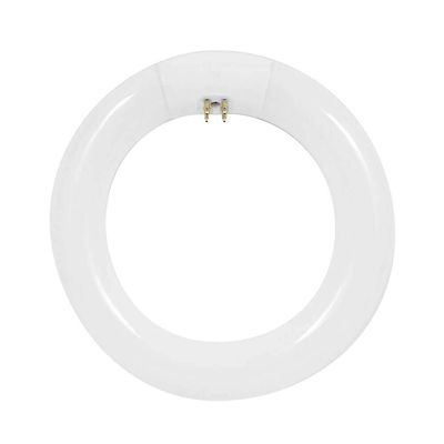 Feit Electric 120W Equivalent Cool White Circline T9 CFL Light Bulb