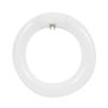 Feit Electric 120W Equivalent Cool White Circline T9 CFL Light Bulb view 1