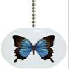 Carolina Hardware and Decor 1987F Blue Mountain Swallowtail Butterflies Solid Ceramic Fan Pull view 1