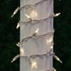 Novelty Lights Vintage Style T5 Warm White LED Christmas Lights, 35 Feet view 2