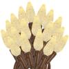Novelty Lights 24FT 70 LED C6 Outdoor Christmas String Lights, Warm White view 1