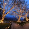 Novelty Lights 24FT 70 LED C6 Outdoor Christmas String Lights, Warm White view 3