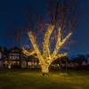 Novelty Lights 24FT 70 LED C6 Outdoor Christmas String Lights, Warm White view 4