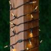 Novelty Lights Vintage Style T5 Warm White LED Christmas Lights, 35 Feet view 2
