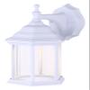 Canarm Dane 1-Light LED Lantern, White Finish Wall Mount with Clear Glass Panels, Durable Weather-Resistant Outdoor Lighting for Patio, Porch and Garage view 1