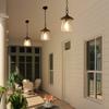LOG BARN Outdoor Pendant Lights, Porch Fixture in Painted Black Metal with Clear Bubbled Glass Globe, Hanging Lantern Lamp for Gazebo, Entry, Yard view 2