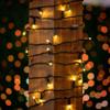 Novelty Lights 25ft Christmas String Lights, 50 Warm White LED Bulbs view 3