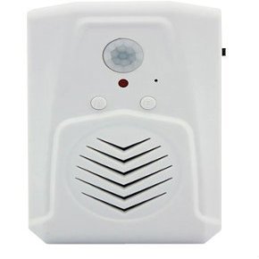 Electronics123.com, Inc. Mini PIR Motion Activated Audio Player