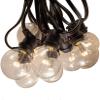 25 Foot C9 Commercial String Lights with LED G50 Clear Bulbs - Black Wire view 1