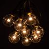 25 Foot C9 Commercial String Lights with LED G50 Clear Bulbs - Black Wire view 2