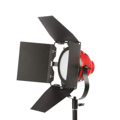 Smith-Victor LadyBug Daylight LED Light with 4-Way Barndoors