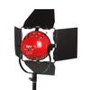 Smith-Victor LadyBug Daylight LED Light with 4-Way Barndoors view 2