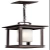 Kichler South Hope Outdoor Pendant Light, Rubbed Bronze view 1