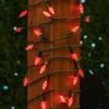 Novelty Lights 50FT 100 LED C6 Red Outdoor Christmas String Lights, UL view 4