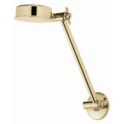Aussie Rain Shower Head with 9" Extension - Titanium Gold