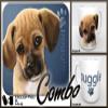 Puggle "for Dog Lovers Only" Mouse Pad and Mug Combo Set (blue) view 1