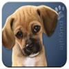 Puggle "for Dog Lovers Only" Mouse Pad and Mug Combo Set (blue) view 2
