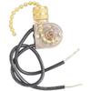 Westinghouse 7702300 Fan-Light Switch & Pull Chain view 1