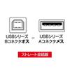 Sanwa Supply USB Adapter B Connector Male to A Connector Female AD-USB3 view 3