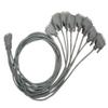 Chase Research ULTRAPORT DB25F FAB-Out Cable (04001800) view 1