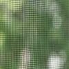 Schellenberg 57109 Fly Screen for Large Windows, Sold by The Metre, Insect Protection, Fibreglass Fabric, Can Be Shortened, 100 x 250 cm, view 3