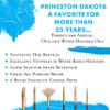 Princeton Dakota Flat Brush, Synthetic, Long Handle, Size 6, 1 Count view 2