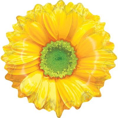 Burton & Burton Yellow Flower [DVD]