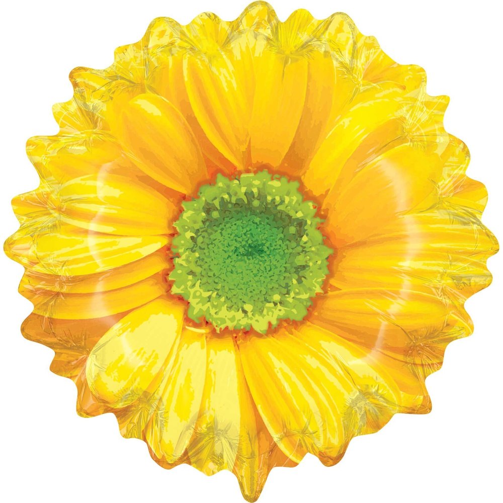 Burton & Burton Yellow Flower [DVD]