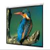 Optoma DE-GWII9120E 120IN Motorized 16:9 view 1