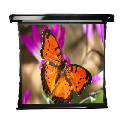 Elite Screens TE100HG CineTension2 Electric Projection Screen (100" 16:9 AR)(PowerGain)