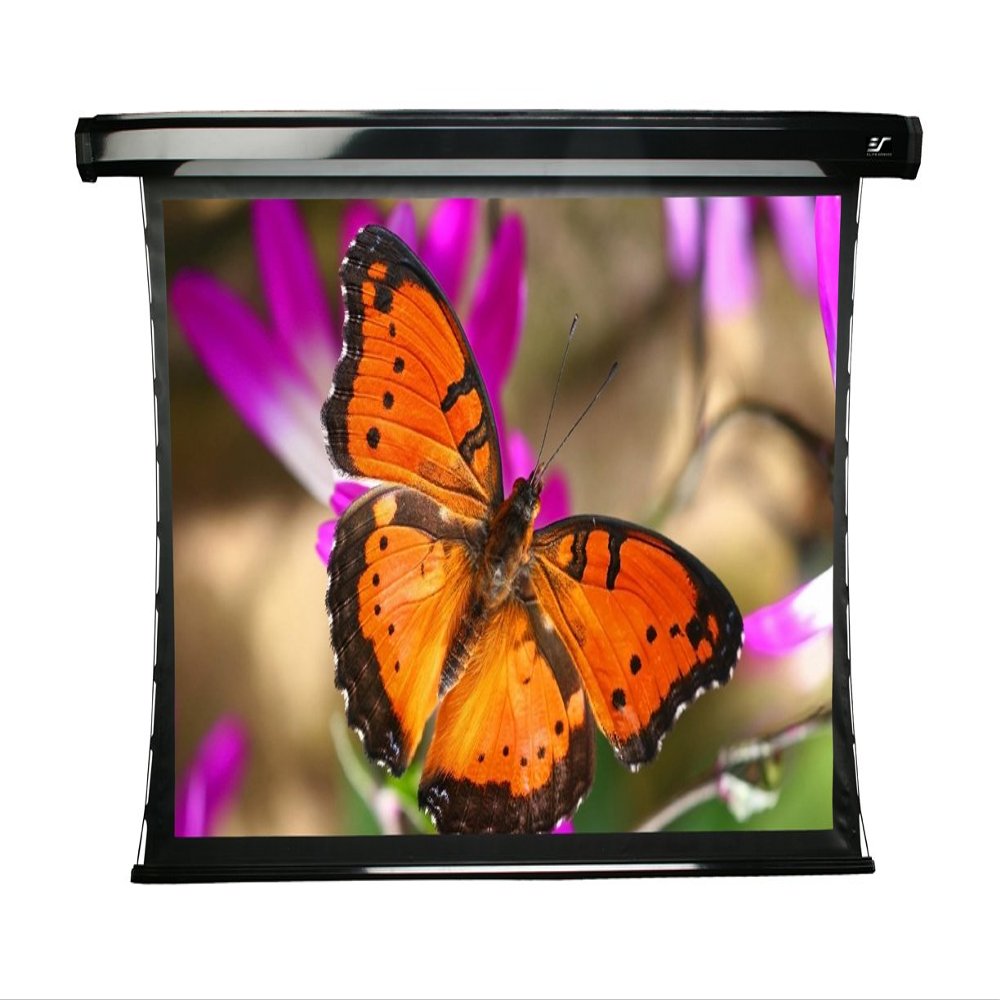Elite Screens TE100HG CineTension2 Electric Projection Screen (100" 16:9 AR)(PowerGain)