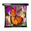 Elite Screens TE100HG CineTension2 Electric Projection Screen (100" 16:9 AR)(PowerGain) view 1